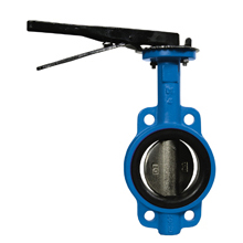 25450 - VALV. FARFALLA WAFER LENTE GHISA