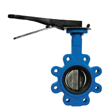 25470 - VALVOLA FARFALLA LUG LENTE GHISA