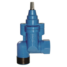 25651 - SARAC. DER. AD ANGOLO MASCH-FEMM