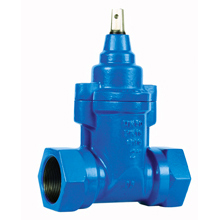 25661 - SARACINESCA DERIVAZIONE FIL.FEMM