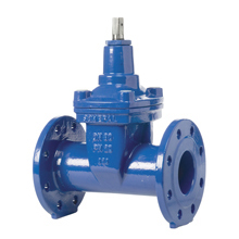 25668N - SARAC. C.OVALE CUNEO GOMM. NEXT